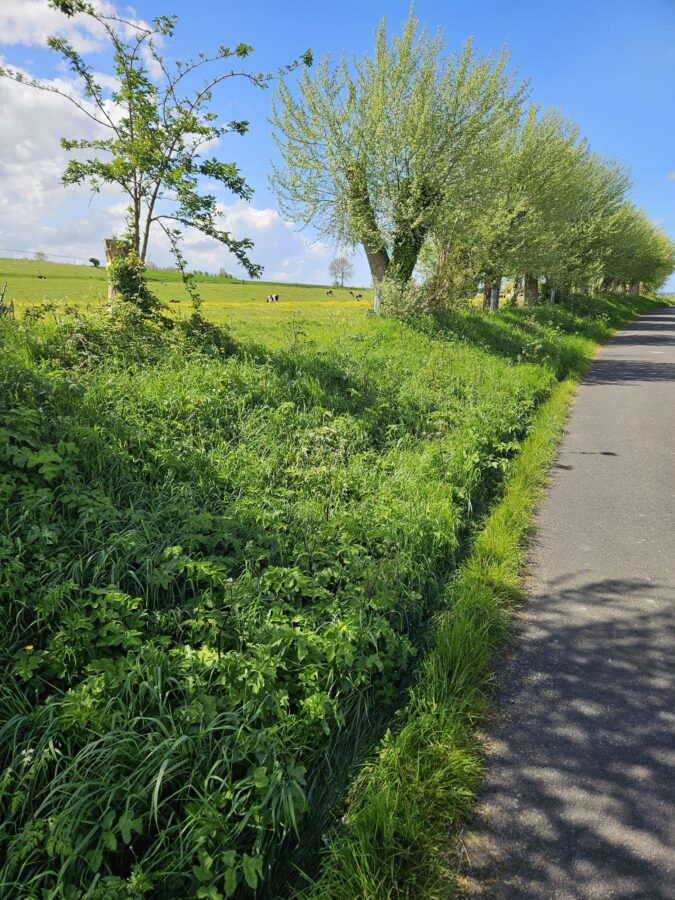 bike and barge tours europe affordable guided cycling